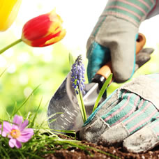 Tout sur les travaux de jardinage